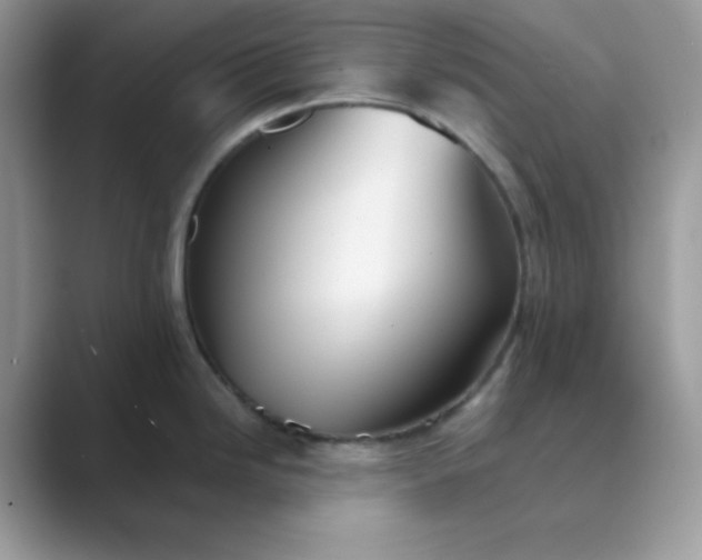 X0000089681246200707051601