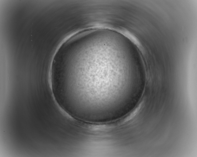 X0000089681247200707051601
