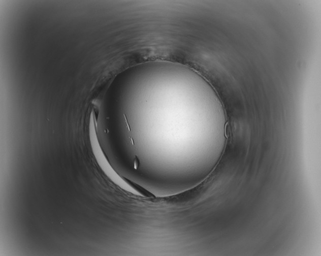 X0000089681250200707051600