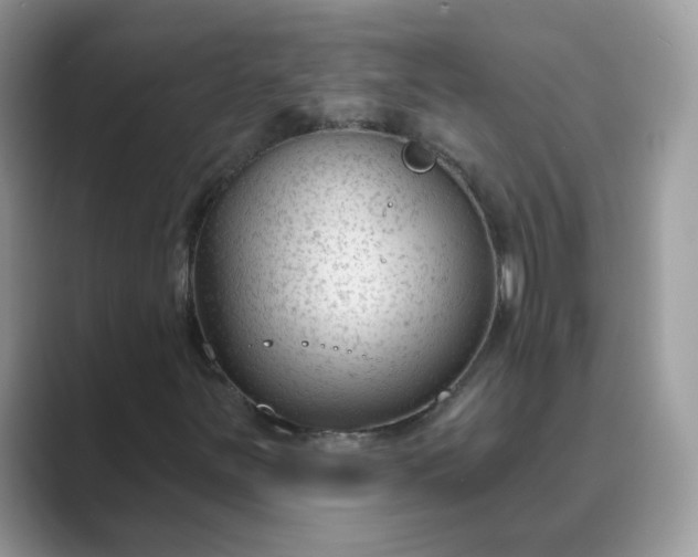 X0000089681251200707051600
