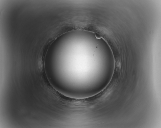 X0000089681252200707051600