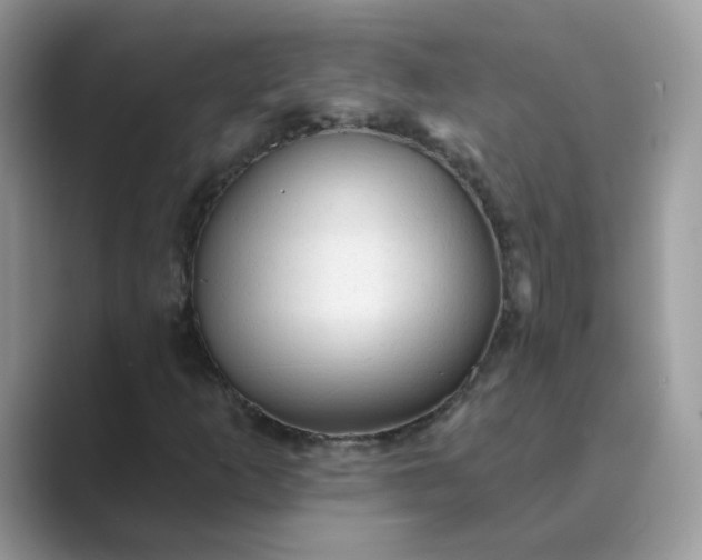X0000089681253200707051600