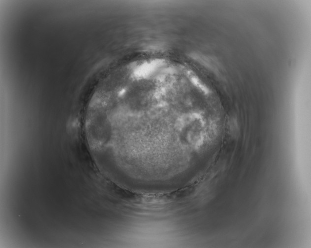 X0000089681254200707051600