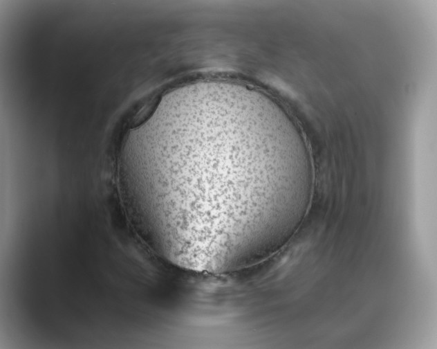 X0000089681255200707051600
