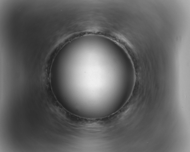 X0000089681256200707051600