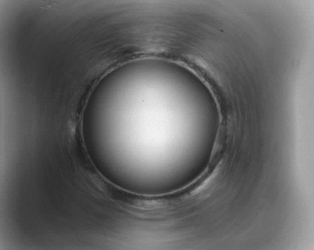 X0000089681257200707051600