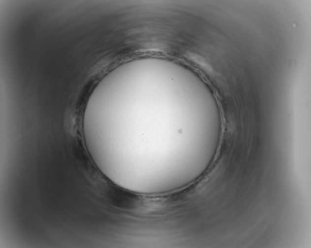 X0000089681258200707051600