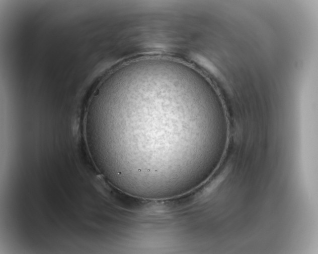 X0000089681259200707051600