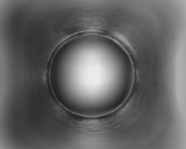 X0000089681260200707051600