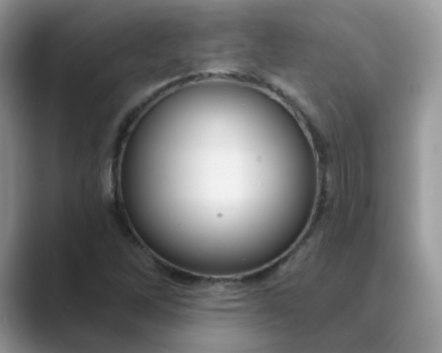 X0000089681262200707051600