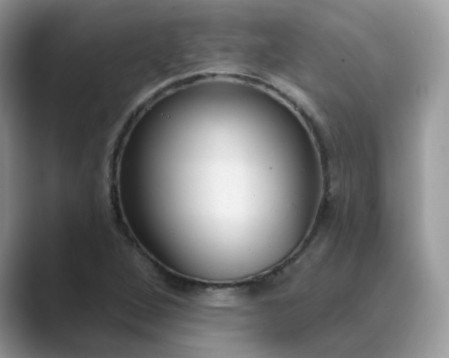 X0000089681264200707051600
