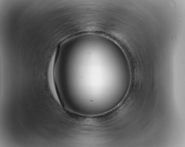 X0000089681265200707051600