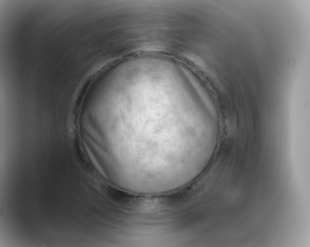 X0000089681266200707051600