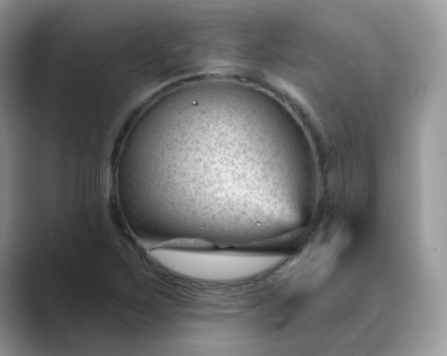 X0000089681267200707051600
