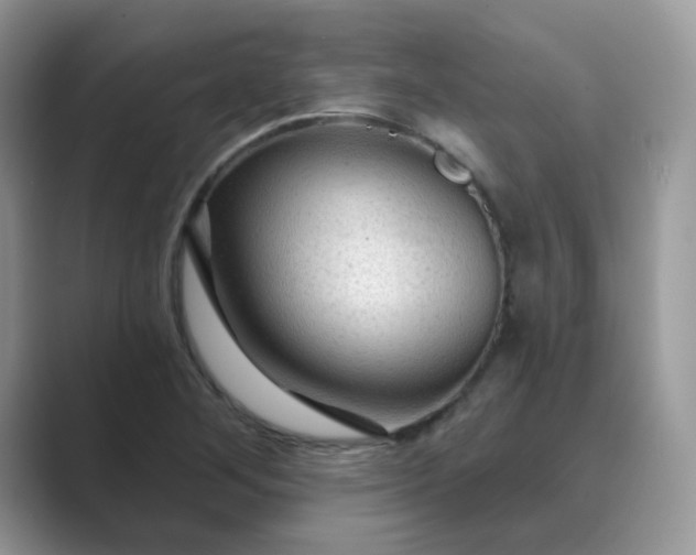 X0000089681268200707051600