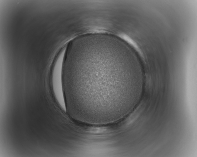 X0000089681269200707051600