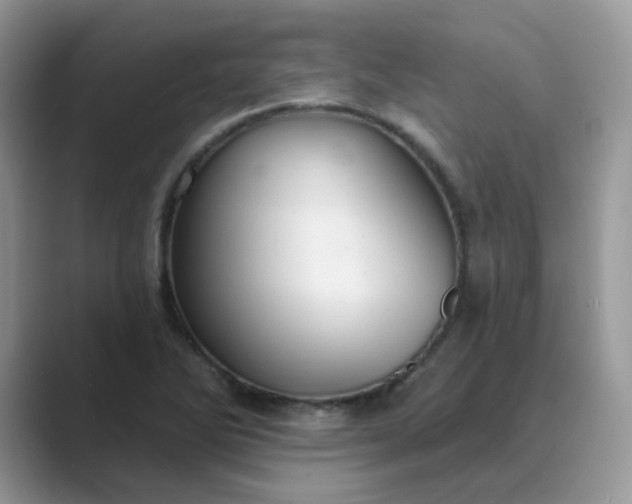 X0000089681270200707051600