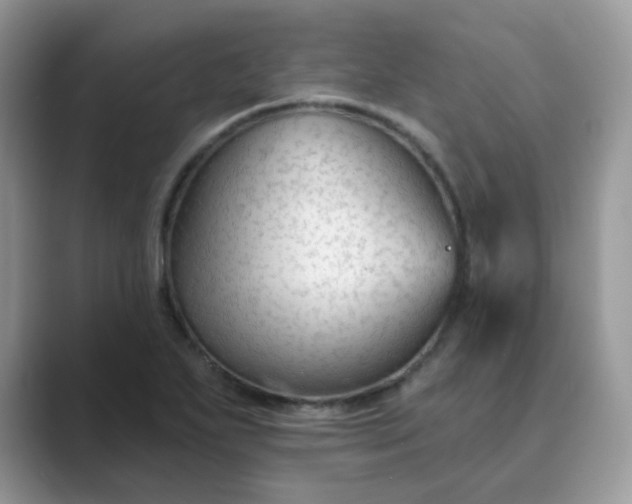X0000089681271200707051600