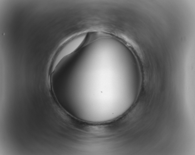 X0000089681272200707051600