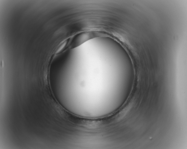X0000089681273200707051600