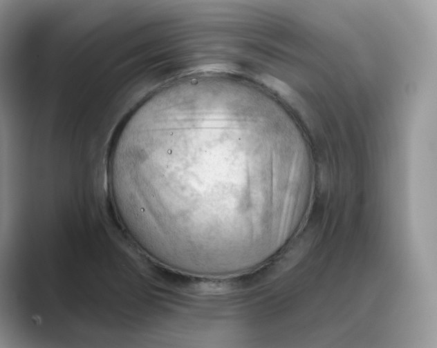 X0000089681274200707051600