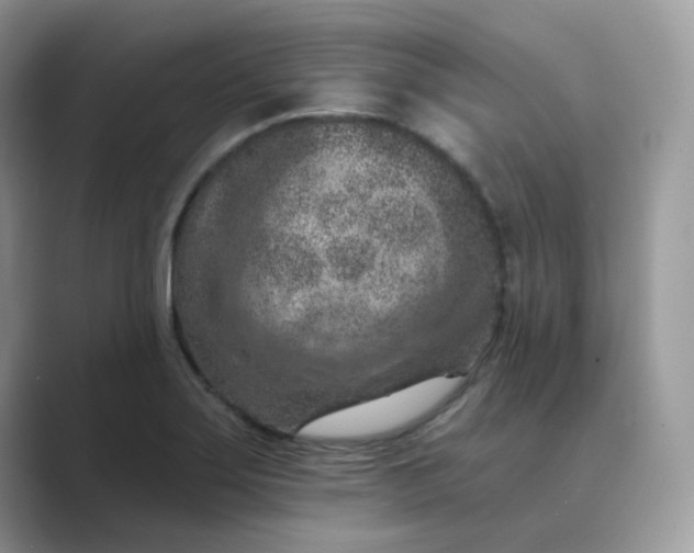 X0000089681275200707051600