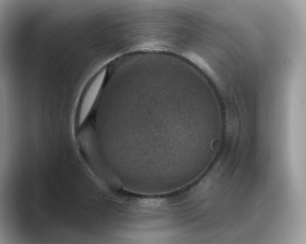 X0000089681277200707051600