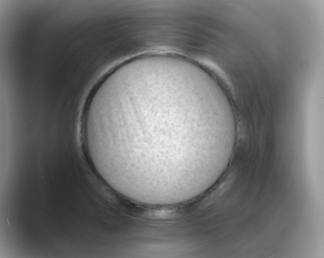 X0000089681278200707051600