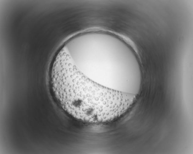 X0000089681279200707051600