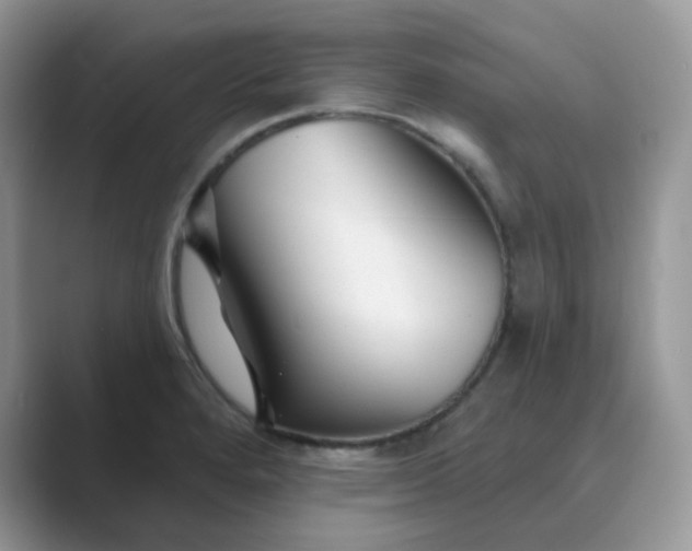 X0000089681280200707051600