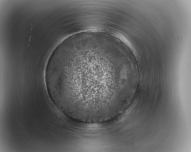 X0000089681283200707051600