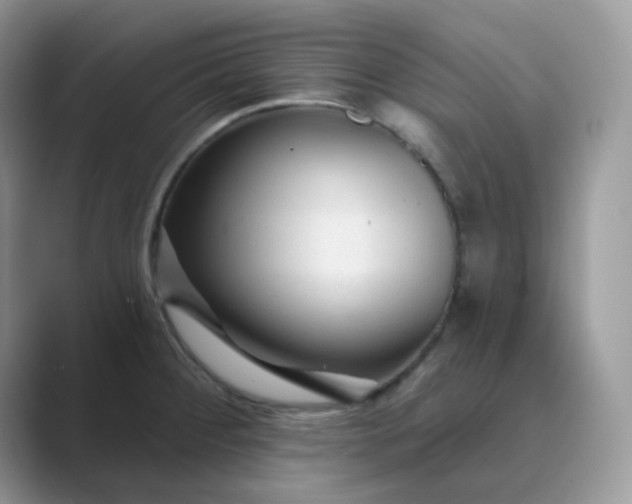 X0000089681284200707051600