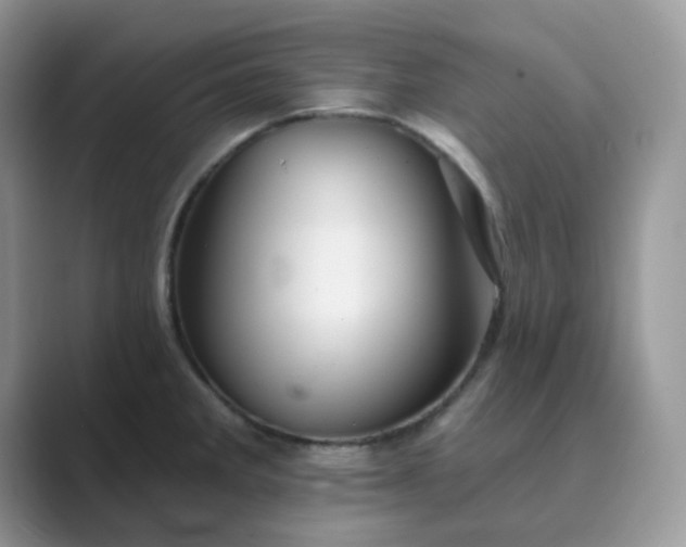 X0000089681285200707051600