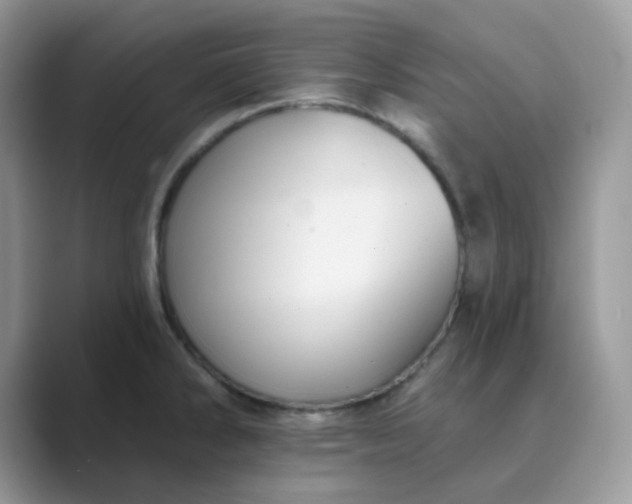 X0000089681286200707051600