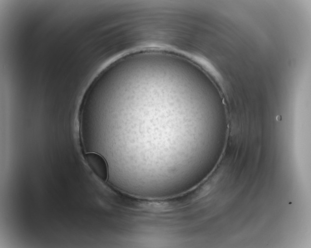 X0000089681287200707051600