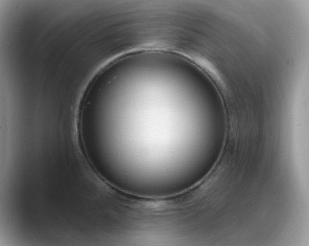 X0000089681288200707051600
