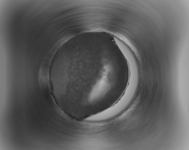 X0000089681289200707051600