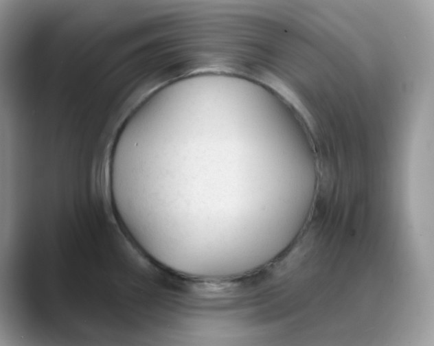 X0000089681290200707051600
