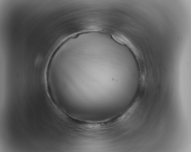 X0000089681291200707051600
