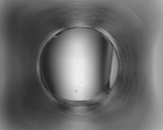 X0000089681293200707051600
