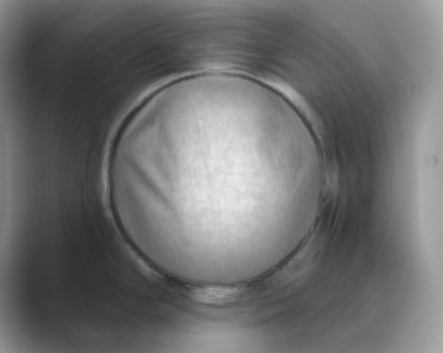 X0000089681294200707051600