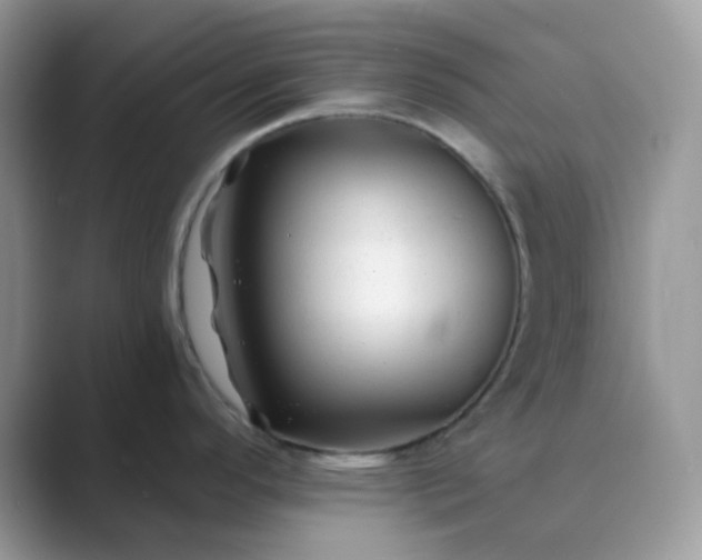 X0000089681296200707051600