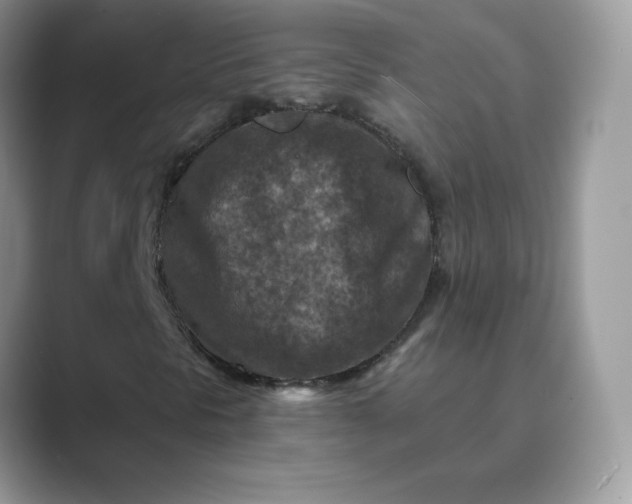 X0000089681297200707051559