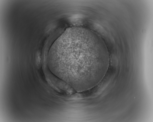X0000089681298200707051559