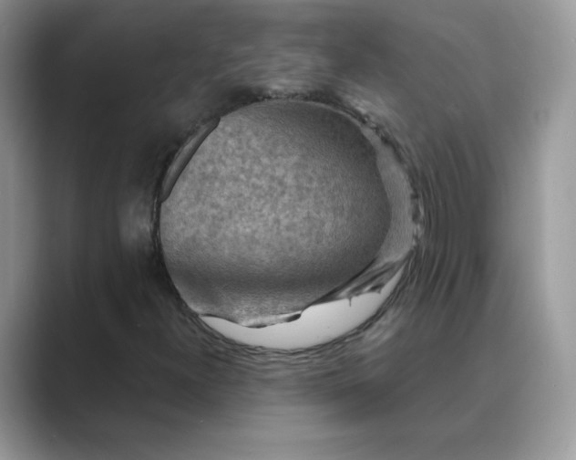X0000089681300200707051559