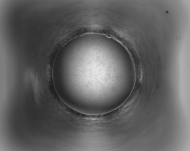 X0000089681301200707051559