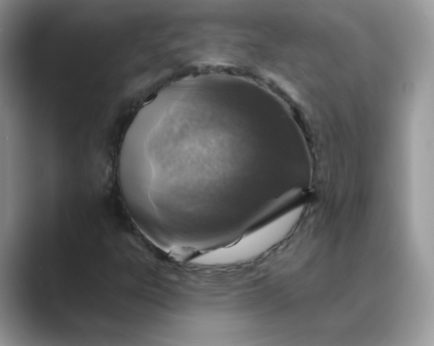 X0000089681303200707051559