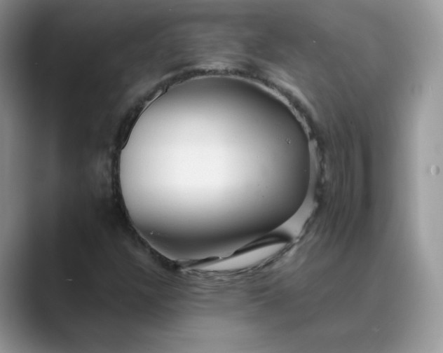 X0000089681304200707051559