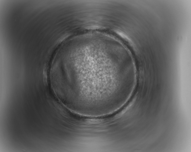 X0000089681305200707051559