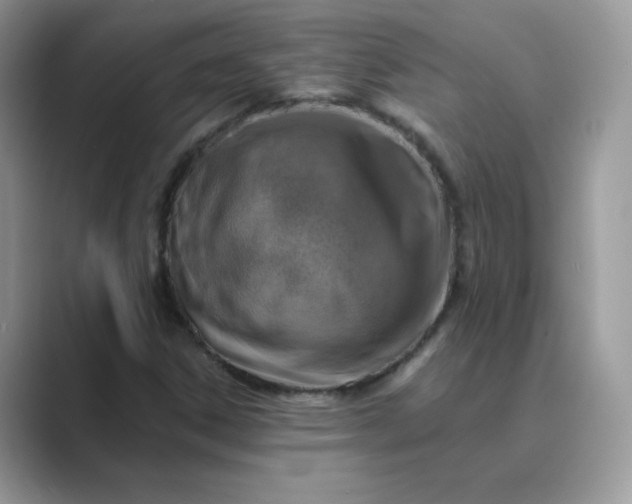 X0000089681306200707051559